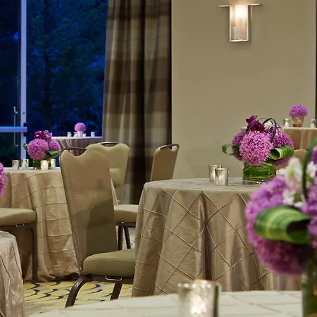 Hyatt Regency Atlanta Perimeter At Villa Christina-3